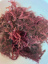 Load image into Gallery viewer, 4oz. Wild Crafted Raw Purple Sea Moss
