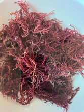 Load image into Gallery viewer, 4oz. Wild Crafted Raw Purple Sea Moss
